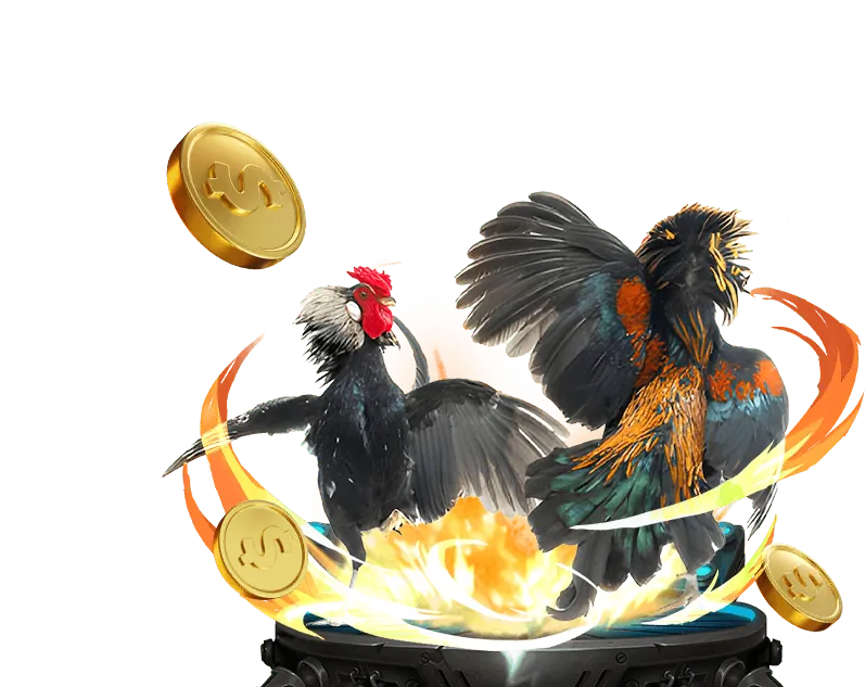 Đặt cược thể thao